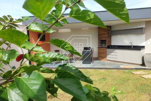 michelangelo2419_047