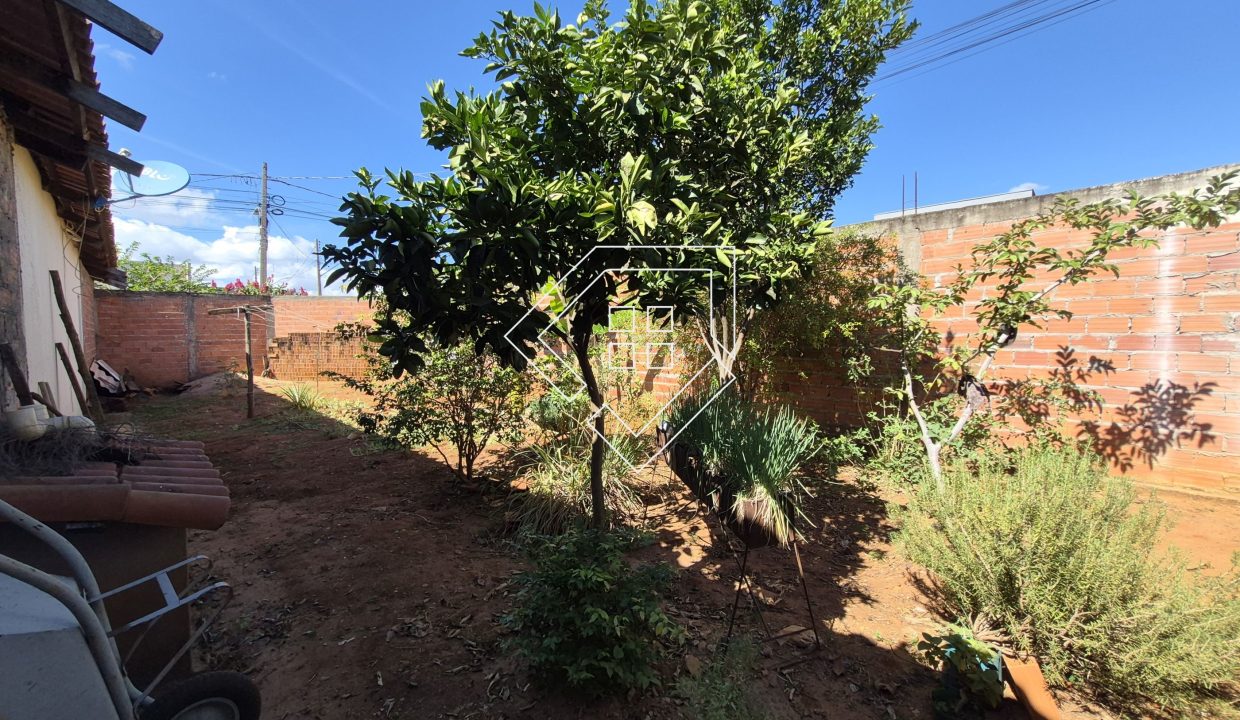 cidadenova2502_018