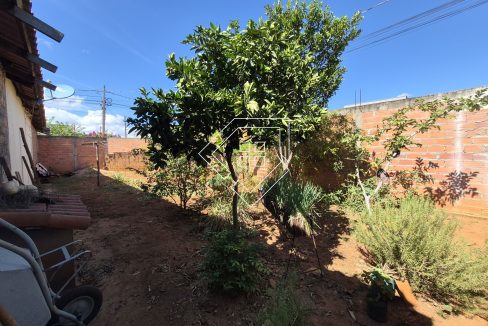 cidadenova2502_018