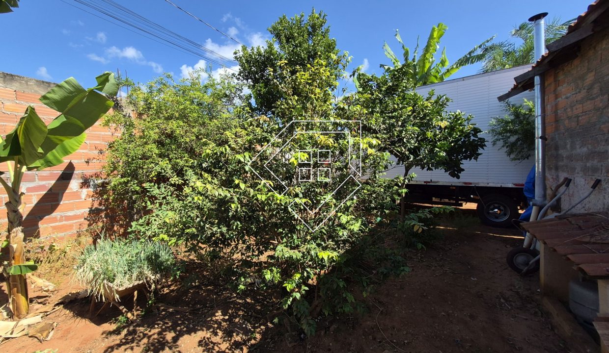 cidadenova2502_019