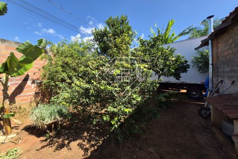 cidadenova2502_019