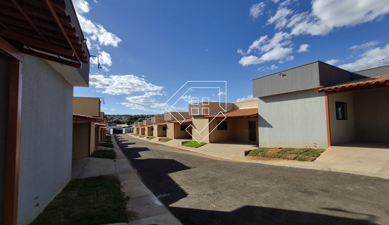novohorizonte2495_046
