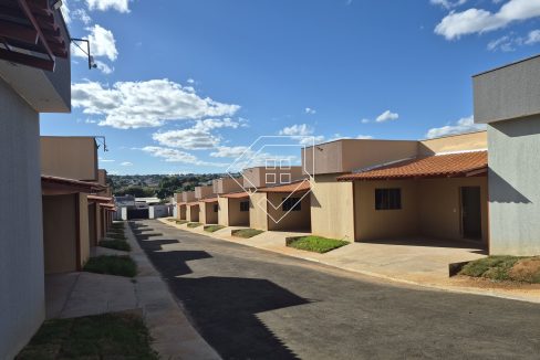 novohorizonte2495_047