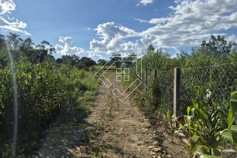 chacara2448_002