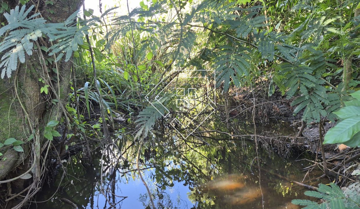 chacara2448_023
